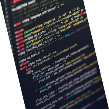 خدمات توسعه